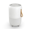 Thyme Oasis Air Purifier 250 sq.ft. Coverage
